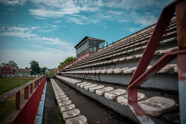 他不仅是皇 他不仅是皇