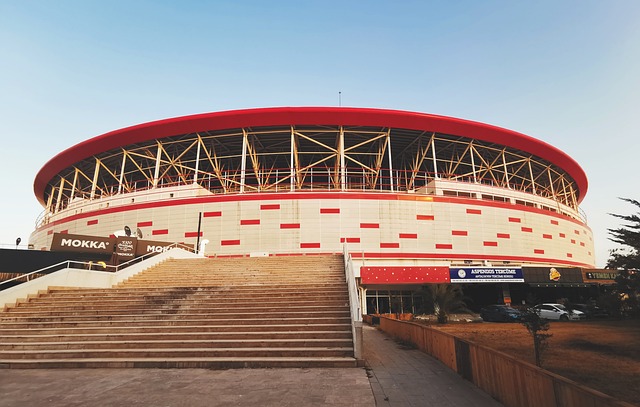 他们肩负着 他们肩负着