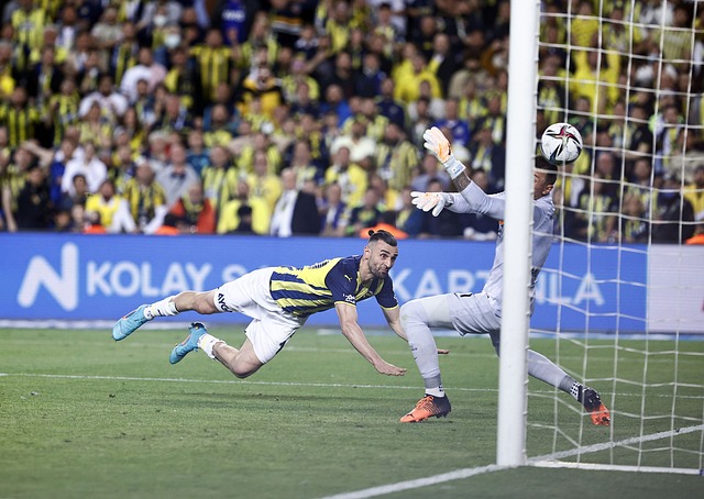 果选择欧陆 果选择欧陆