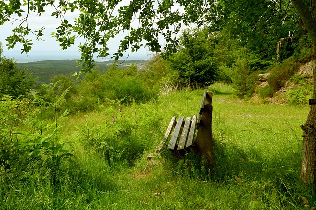 更能传递数 更能传递数