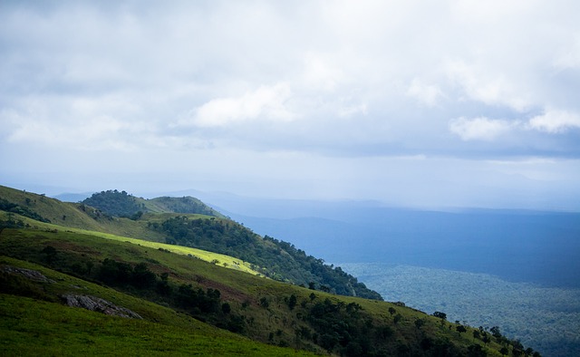 略也是影響 略也是影響
