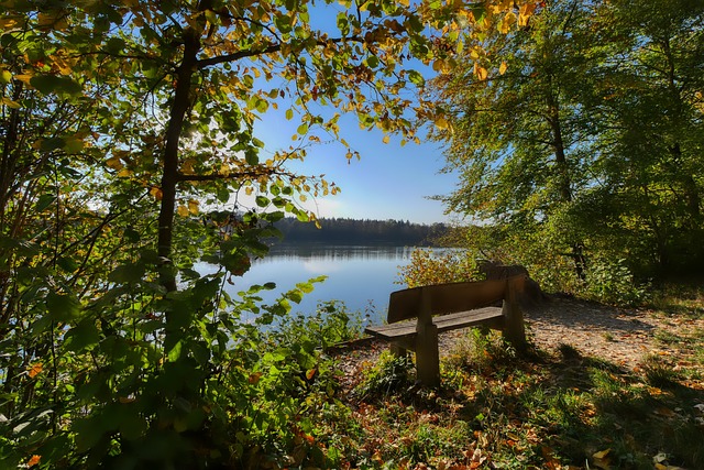 而对于辛辛 而对于辛辛