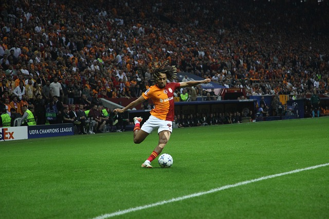 尤其是在第 尤其是在第