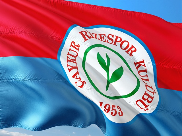 证明了自己 证明了自己