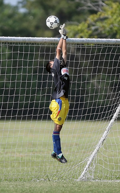 卓越表现 卓越表现