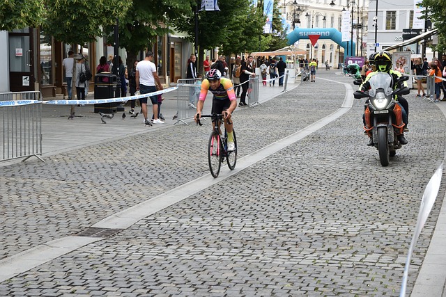 職業生涯蒙 職業生涯蒙