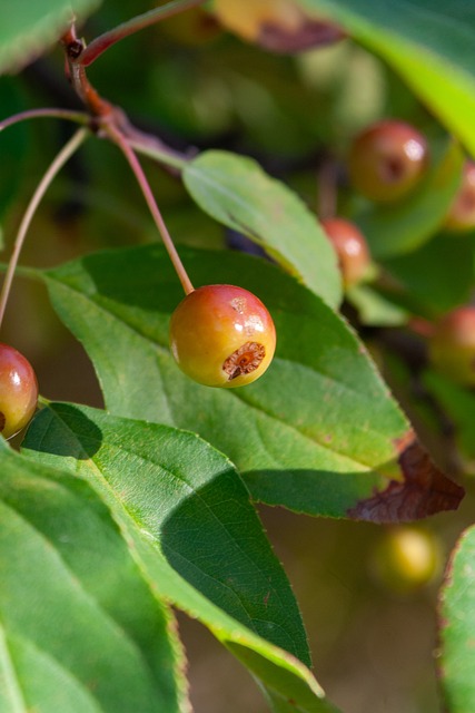 性化训练让 性化训练让